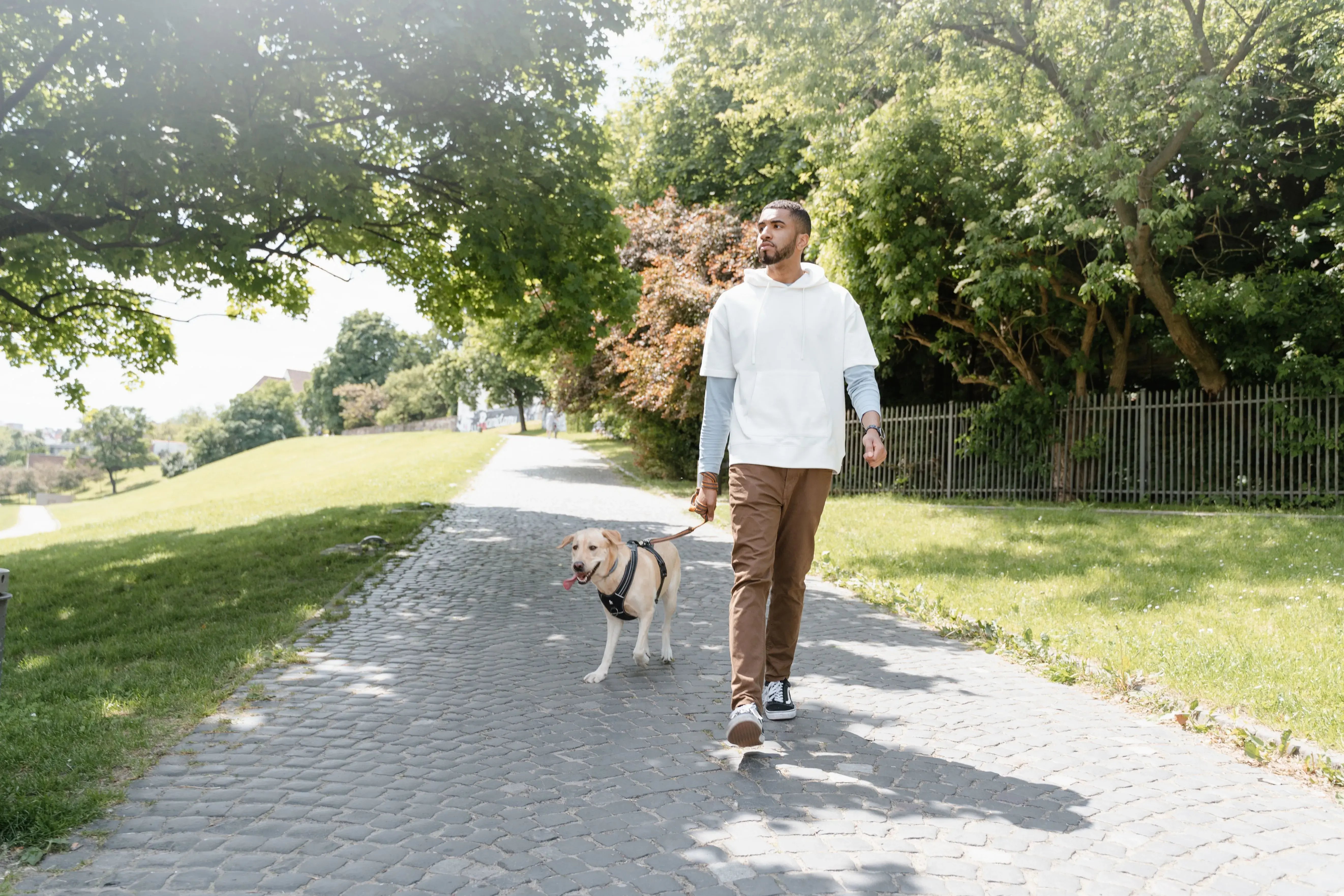 man walking dog in park